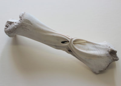 Mending II, 2017  Cattle bone, human bone needle, braided human hair, 12 x 3.5 x 4 in.