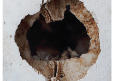 Bullet hole, sheep skull, 2015 Photograph, 22 x 22 in.