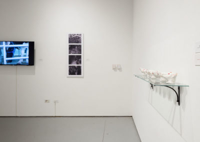 Kathy_High_Installation_View_DSC7449_cc_1200_px