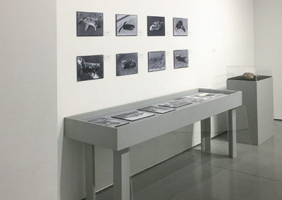 stecyk_installation_view_cr_cc